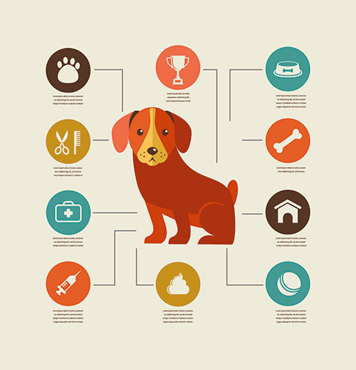 infografica-cani