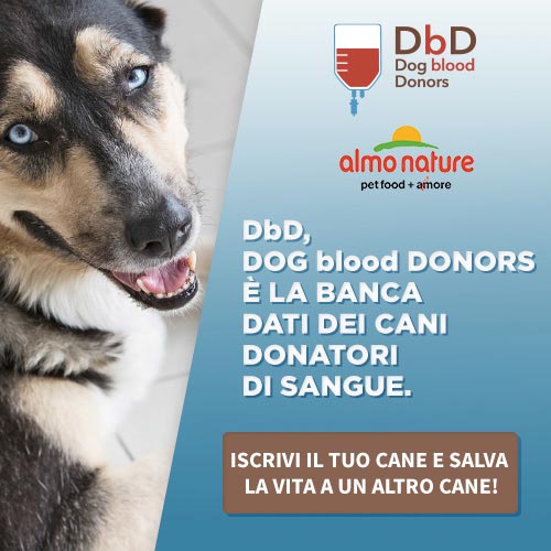 Dog-blood-donors