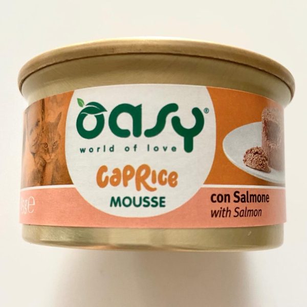 oasy cat mousse