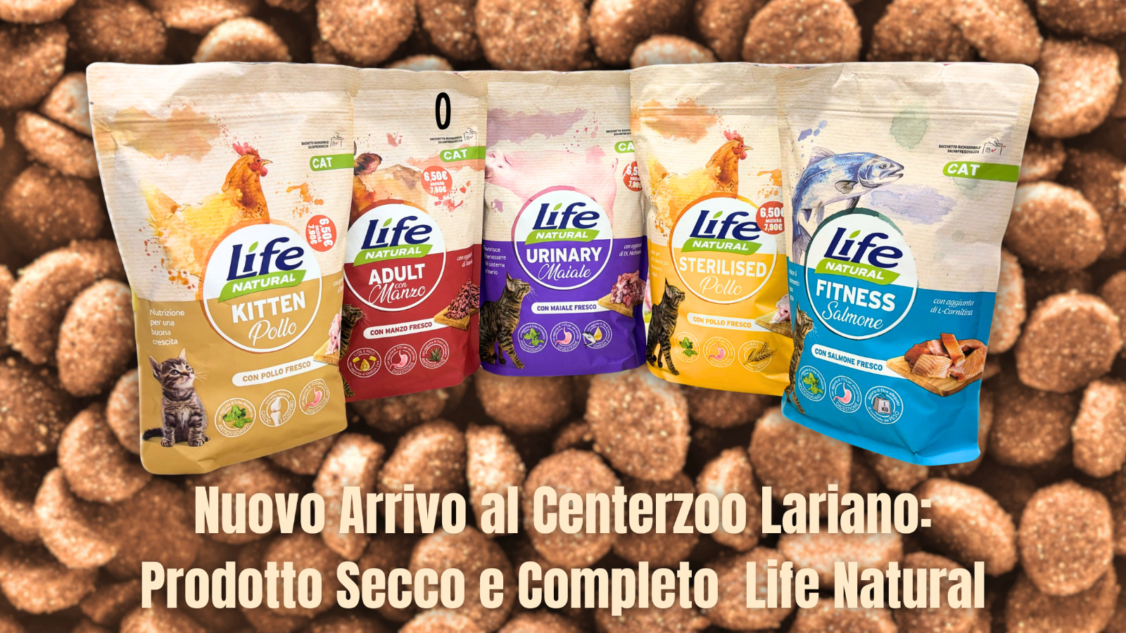 life natural cat blog.